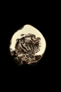 broche arbre